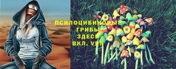 ГАЛЛЮЦИНОГЕННЫЕ ГРИБЫ Богородск