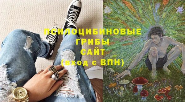 эйфоретик Богородицк