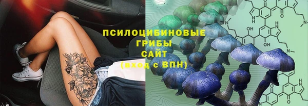 круглые Богданович