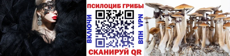наркота Красноярск ОМГ ОМГ ТОР Галлюциногенные грибы Magic Shrooms